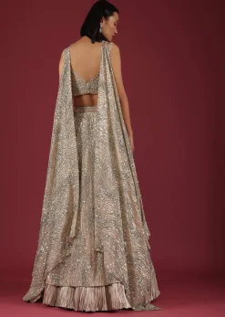 Oyster Net Lehenga And Crop Top With 3D Petal Motifs And An Open Back