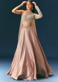 Oyster Organza Embroidered Lehenga Set With Dupatta