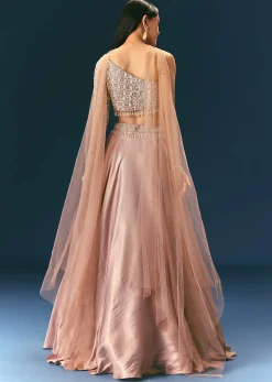 Oyster Organza Embroidered Lehenga Set With Dupatta