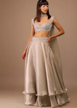 Oyster Organza Layered Skirt With Sleeveless Hand Embroidered Crop Top