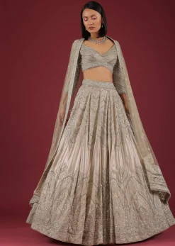 Oyster Organza Lehenga With Cut Dana Embroidery, Crop Top Comes In 3/4Th Sleeves With A Deep V Neckline
