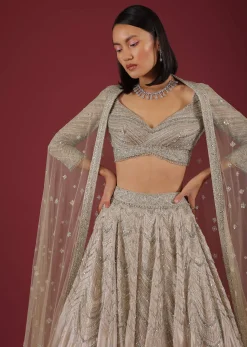 Oyster Organza Lehenga With Cut Dana Embroidery, Crop Top Comes In 3/4Th Sleeves With A Deep V Neckline