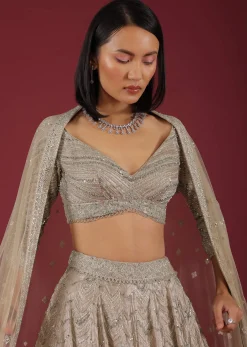 Oyster Organza Lehenga With Cut Dana Embroidery, Crop Top Comes In 3/4Th Sleeves With A Deep V Neckline