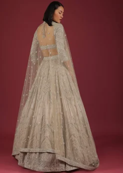 Oyster Organza Lehenga With Cut Dana Embroidery, Crop Top Comes In 3/4Th Sleeves With A Deep V Neckline