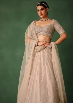 Oyster Pink Hand Embroidered Organza Lehenga Set