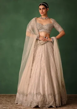 Oyster Pink Hand Embroidered Organza Lehenga Set