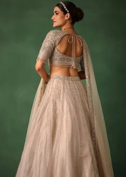 Oyster Pink Hand Embroidered Organza Lehenga Set