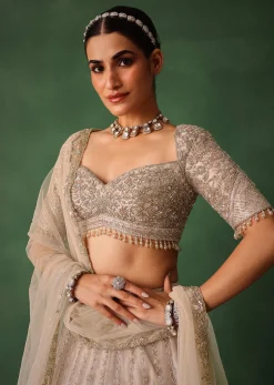Oyster Pink Hand Embroidered Organza Lehenga Set