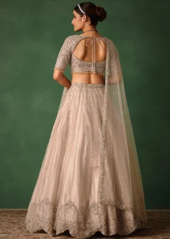 Oyster Pink Hand Embroidered Organza Lehenga Set