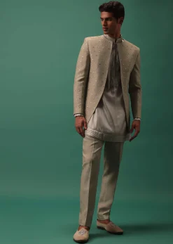 Oyster-Shaded Detailed Organza Kurta Set With Embroidered Jacket