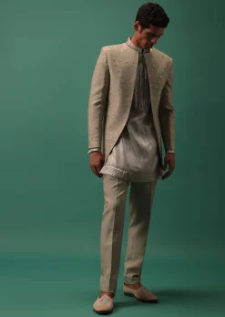 Oyster-Shaded Detailed Organza Kurta Set With Embroidered Jacket