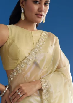 Pastel Green Glass Tissue Saree With Floral Embroidery And Cutwork Border