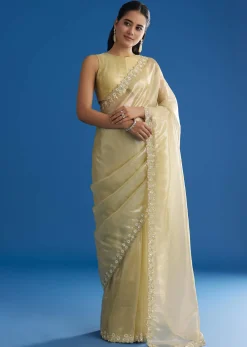 Pastel Green Glass Tissue Saree With Floral Embroidery And Cutwork Border