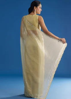 Pastel Green Glass Tissue Saree With Floral Embroidery And Cutwork Border