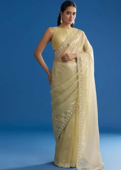 Pastel Green Glass Tissue Saree With Floral Embroidery And Cutwork Border