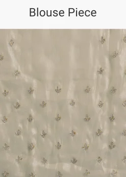 Pastel Green Glass Tissue Saree With Floral Embroidery And Cutwork Border
