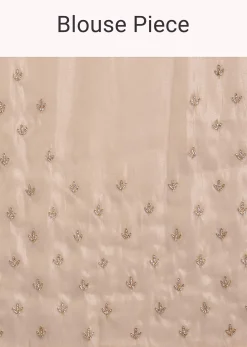 Pastel Peach Glass Tissue Stone Embellished Saree With Cutwork Border