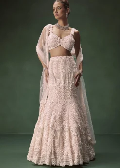 Pastel Pink Mermaid Bridal Lehenga With Intricate Embellishments