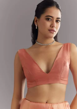 Peach Glass Tissue Saree With Cutdana Sequins Embroidery And Cutwork Scallop Border