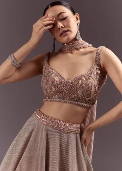 Peach Gold Embroidered Circular Lehenga Dupatta Set
