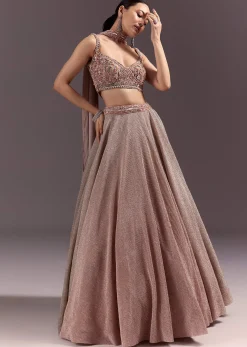Peach Gold Embroidered Circular Lehenga Dupatta Set