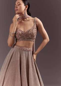 Peach Gold Embroidered Circular Lehenga Dupatta Set