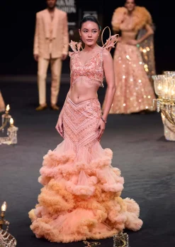 Peach Organza Cutdana Trail Lehenga With Feather Sleeve Blouse