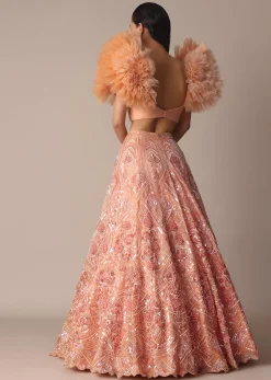 Peach Organza Embroidered Lehenga Set With Floral Ruffle Blouse