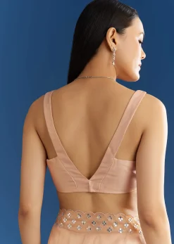 Peach Organza Tissue Saree With Cutdana Embellished Border