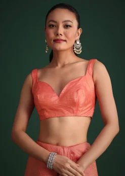 Peach Sequin Work Crushed Tissue Saree