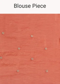 Peach Sequin Work Crushed Tissue Saree