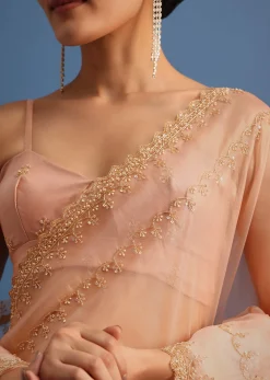 Peach Tissue Saree With Cutdana Embroidered Border And Unstitched Blouse
