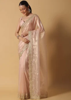 Peach Tissue Saree With Cut Dana Embroidered Borders