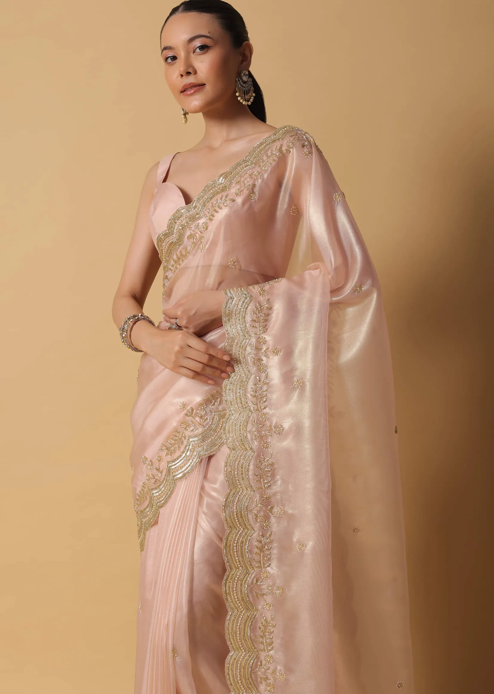 Peach Tissue Saree With Cut Dana Embroidered Borders