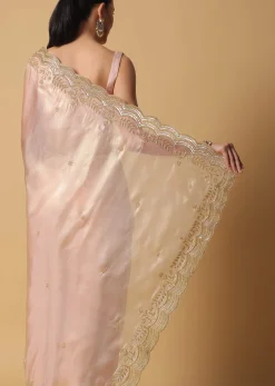 Peach Tissue Saree With Cut Dana Embroidered Borders