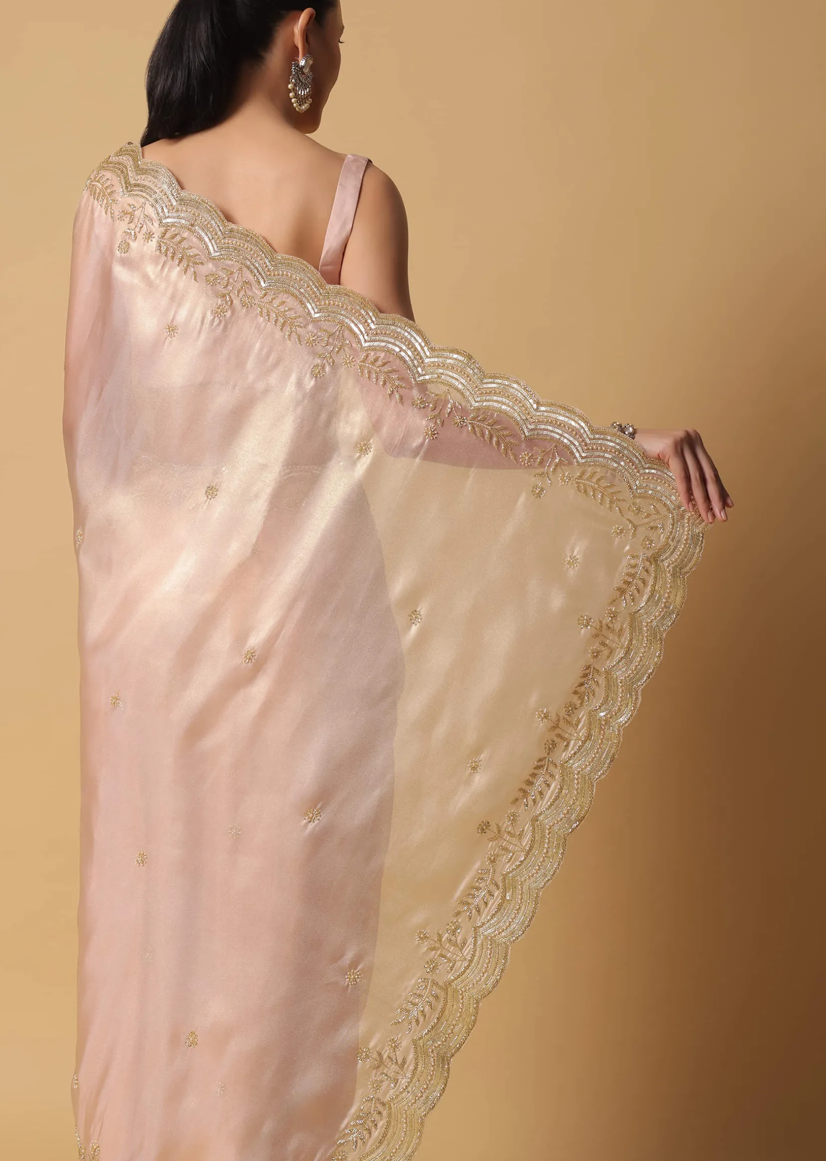 Peach Tissue Saree With Cut Dana Embroidered Borders