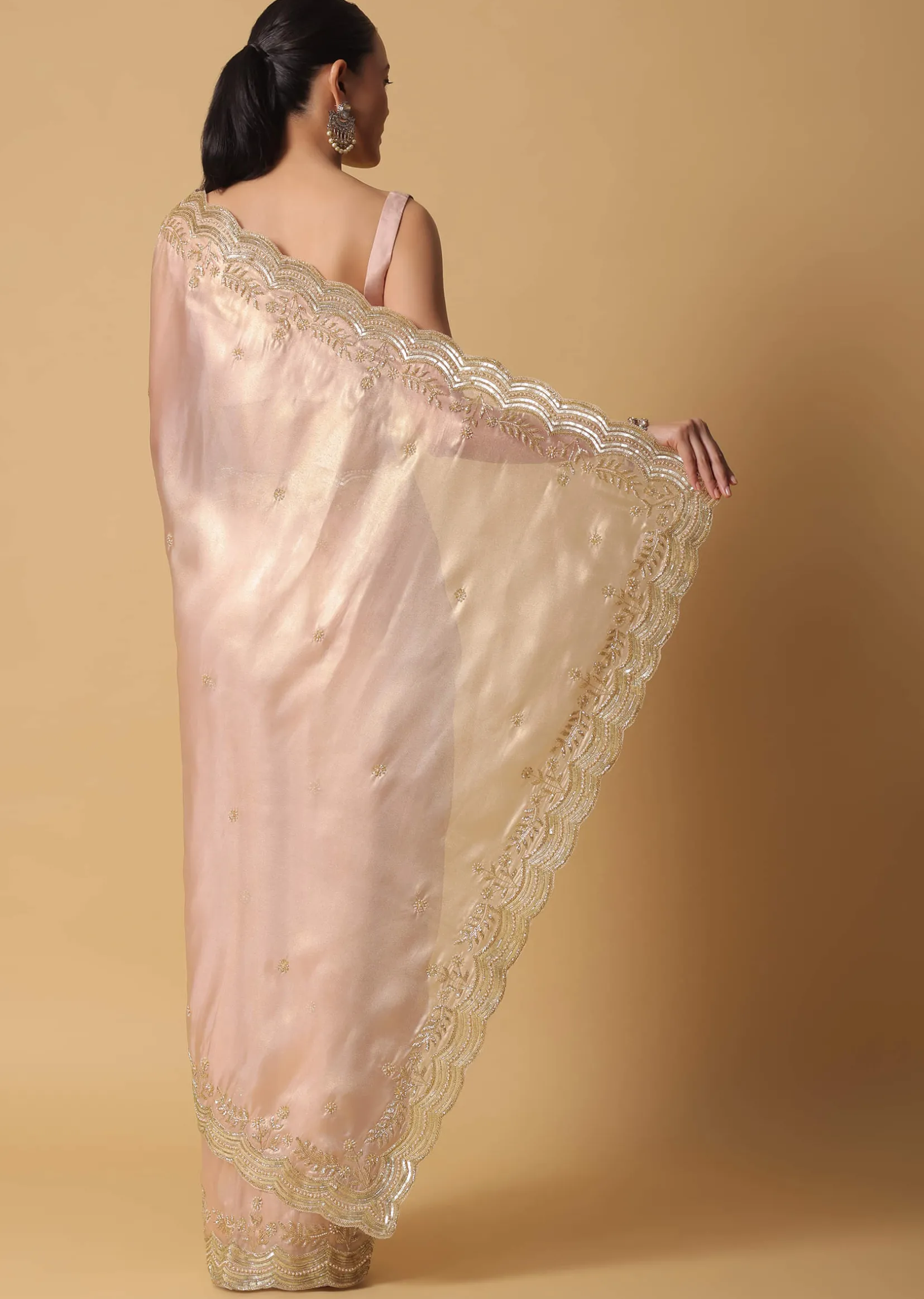 Peach Tissue Saree With Cut Dana Embroidered Borders