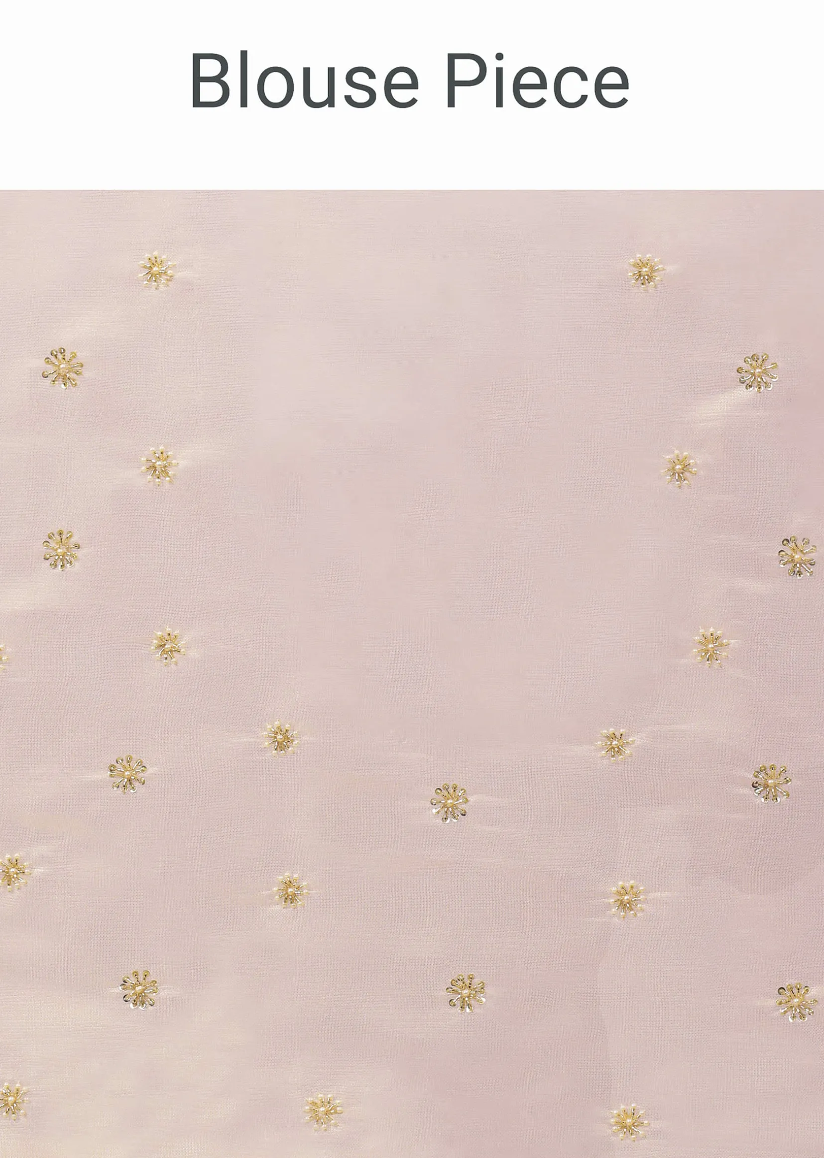 Peach Tissue Saree With Cut Dana Embroidered Borders