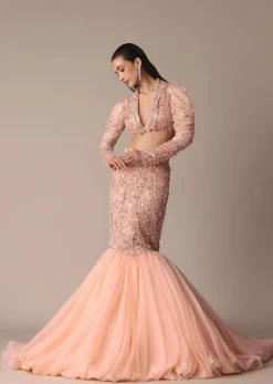 Peach Zardosi Fishcut Skirt With Embroidered Short Sleeve Jacket