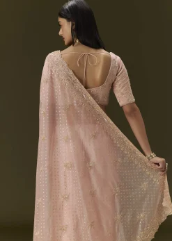 Pink Banarasi Tissue Saree With Velvet Embroidered Blouse