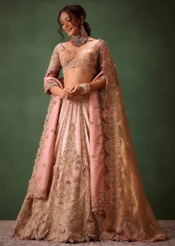 Pink Brocade Velvet Lehenga Choli With Two Scallop Dupattas
