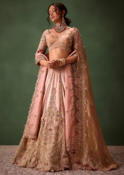 Pink Brocade Velvet Lehenga Choli With Two Scallop Dupattas