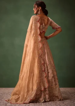 Pink Brocade Velvet Lehenga Choli With Two Scallop Dupattas