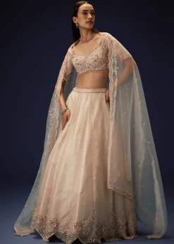 Pink Organza 8 Kali Lehenga With Embroidered Blouse and Cutwork Dupatta