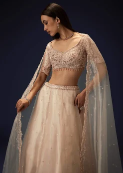 Pink Organza 8 Kali Lehenga With Embroidered Blouse and Cutwork Dupatta
