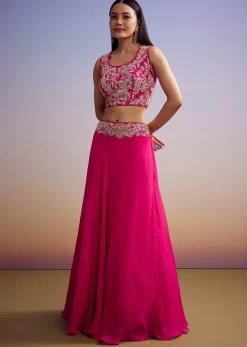 Pink Organza Crop Top And Skirt Set With Embroidered Cape