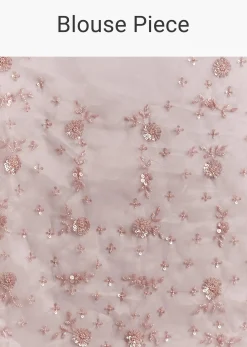 Pink Organza Sequins Saree With Scallop Border