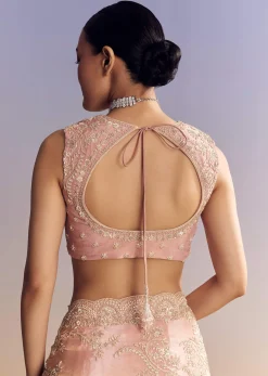 Pink Satin Saree With Scalloped Embroidery