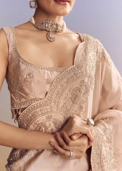 Pink Tissue Saree With Scallop Border