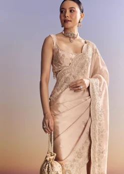 Pink Tissue Saree With Scallop Border